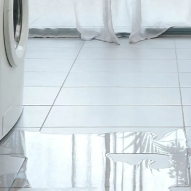 Appliance Leak Cleanup in Hereford, TX