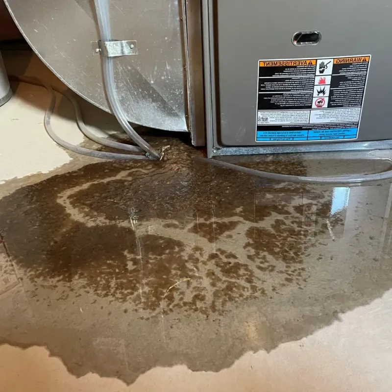 Pipe Burst and Leak Restoration in Hereford, TX