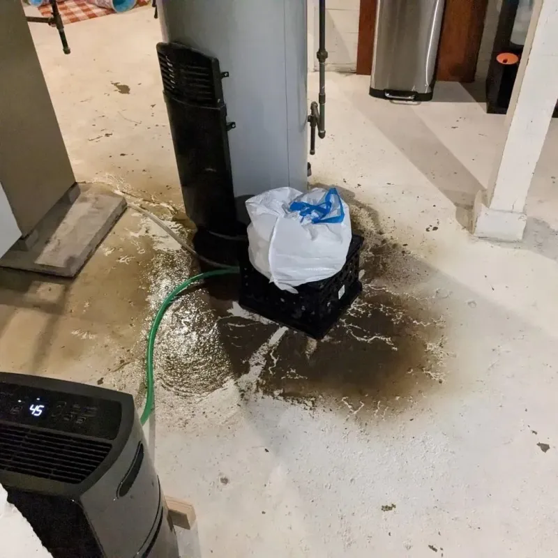 Sewage Backup Cleanup Service in Hereford, TX